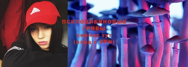 дживик Вязьма