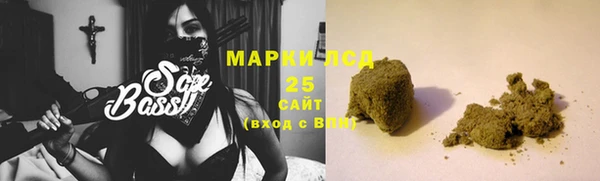 дживик Вязьма