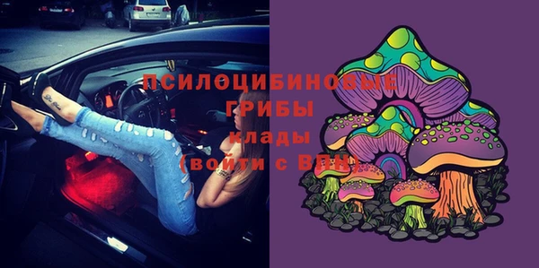 МДПВ Горно-Алтайск