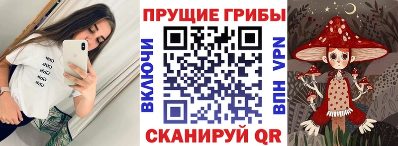 Галлюциногенные грибы Cubensis  Орск 
